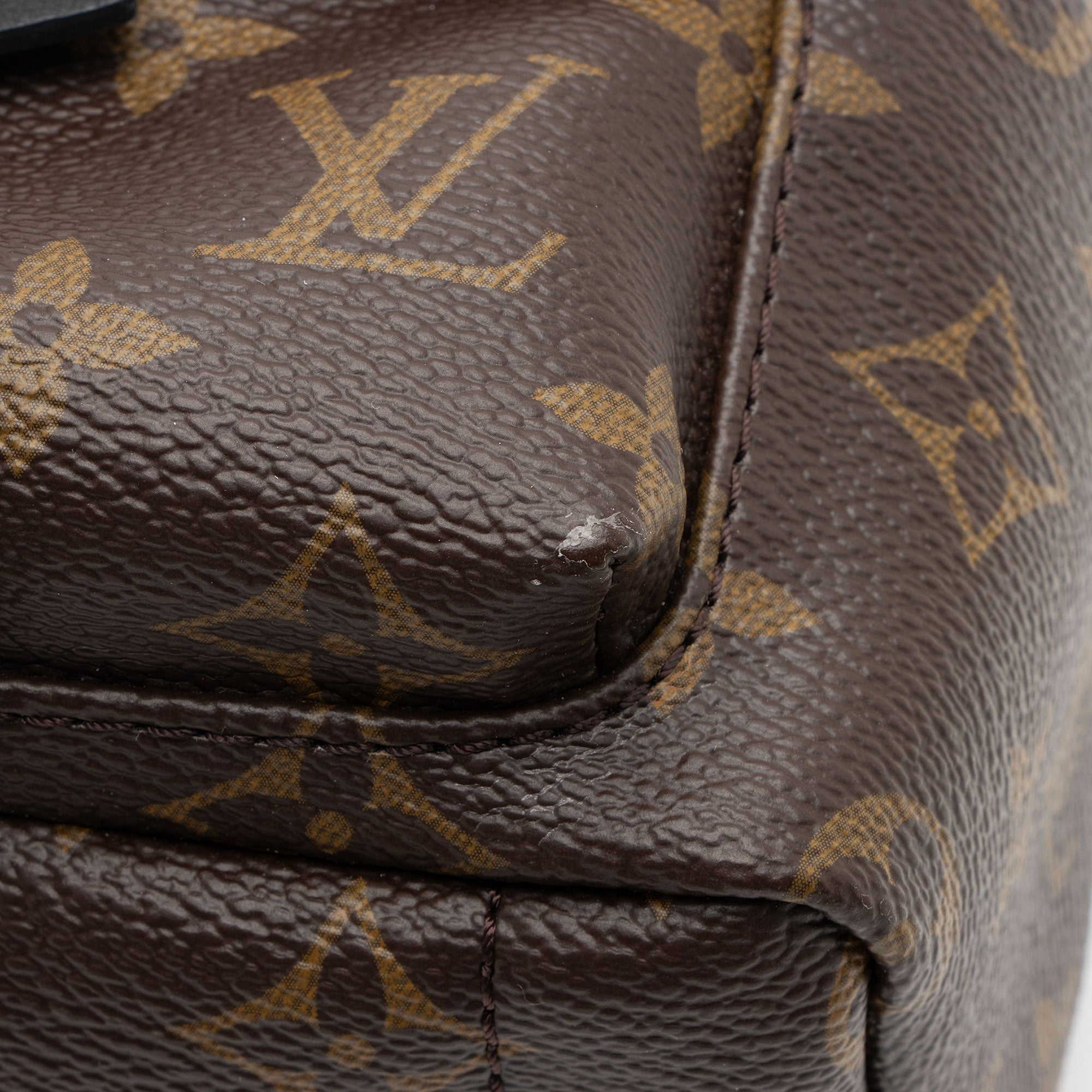 Louis Vuitton Monogram Canvas Palm Springs Mini Backpack