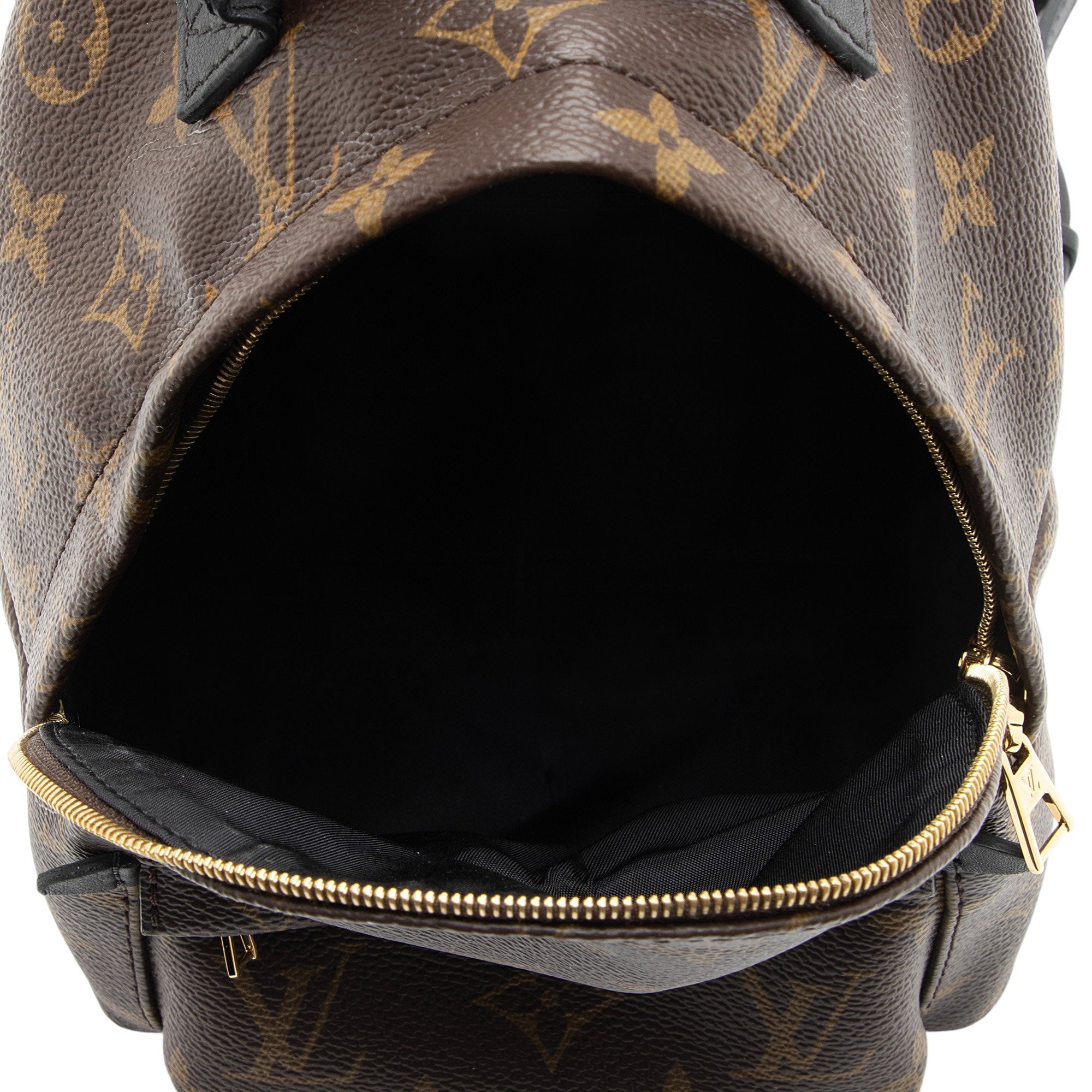Louis Vuitton Monogram Canvas Palm Springs Mini Backpack