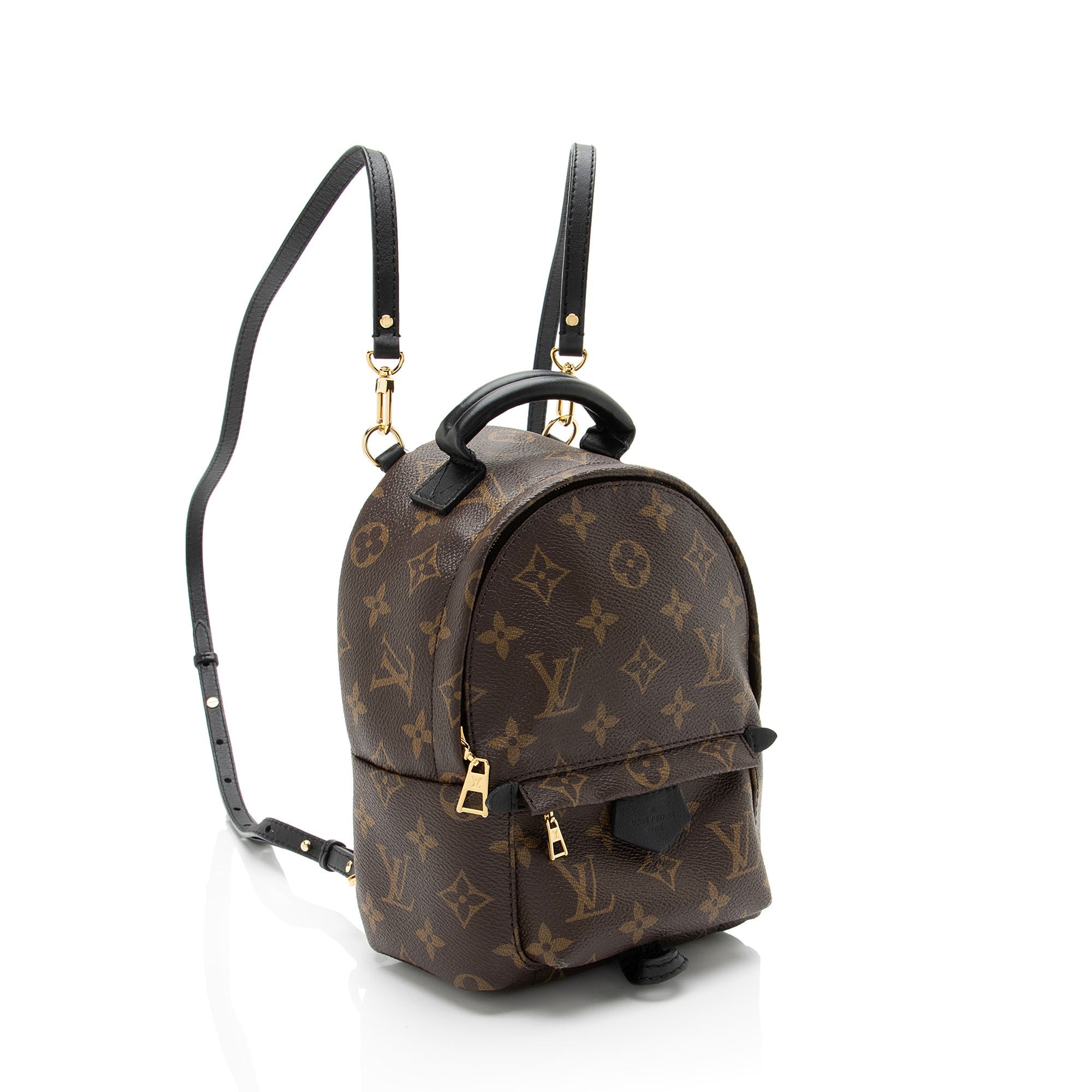 Louis Vuitton Monogram Canvas Palm Springs Mini Backpack