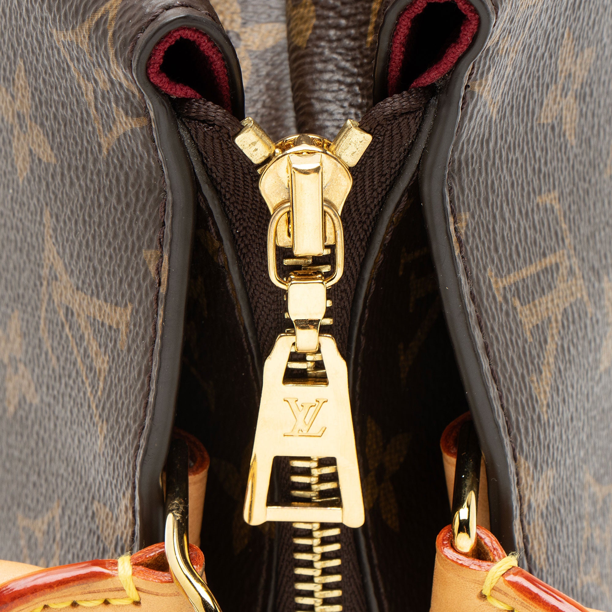 Louis Vuitton Monogram Canvas Petit Palais Tote
