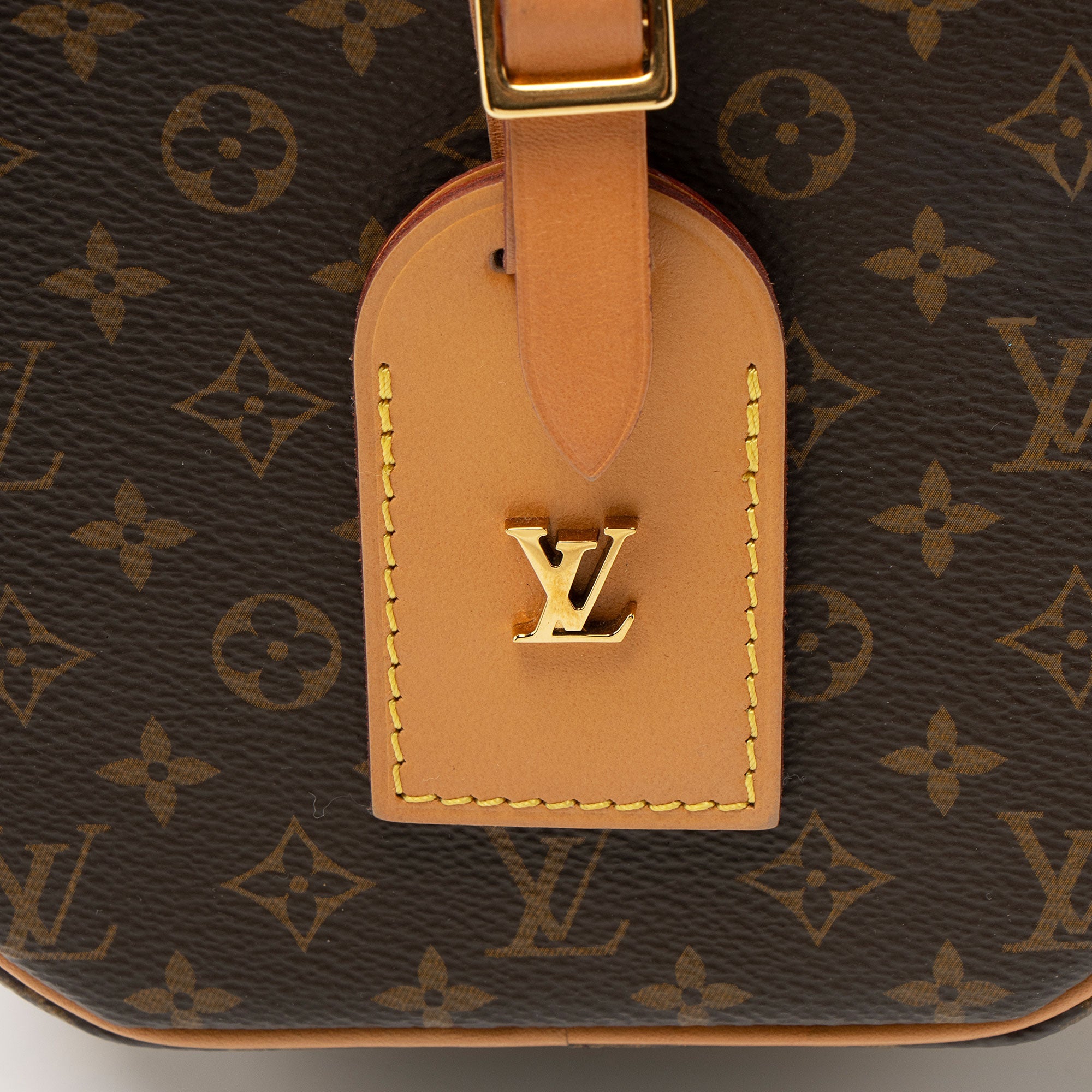 Louis Vuitton Monogram Canvas Petite Boite Chapeau Shoulder Bag