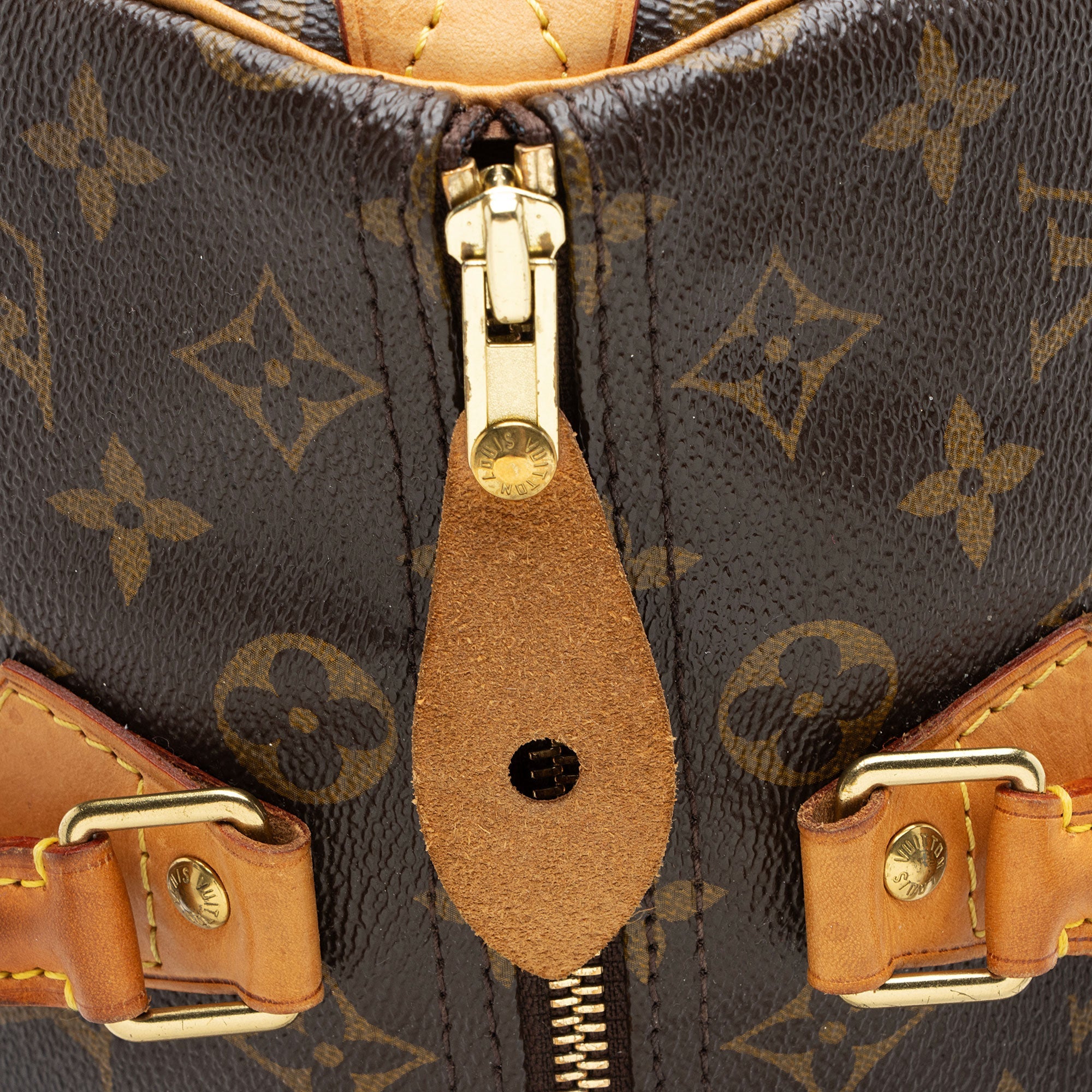 Louis Vuitton Monogram Canvas Speedy 30 Satchel