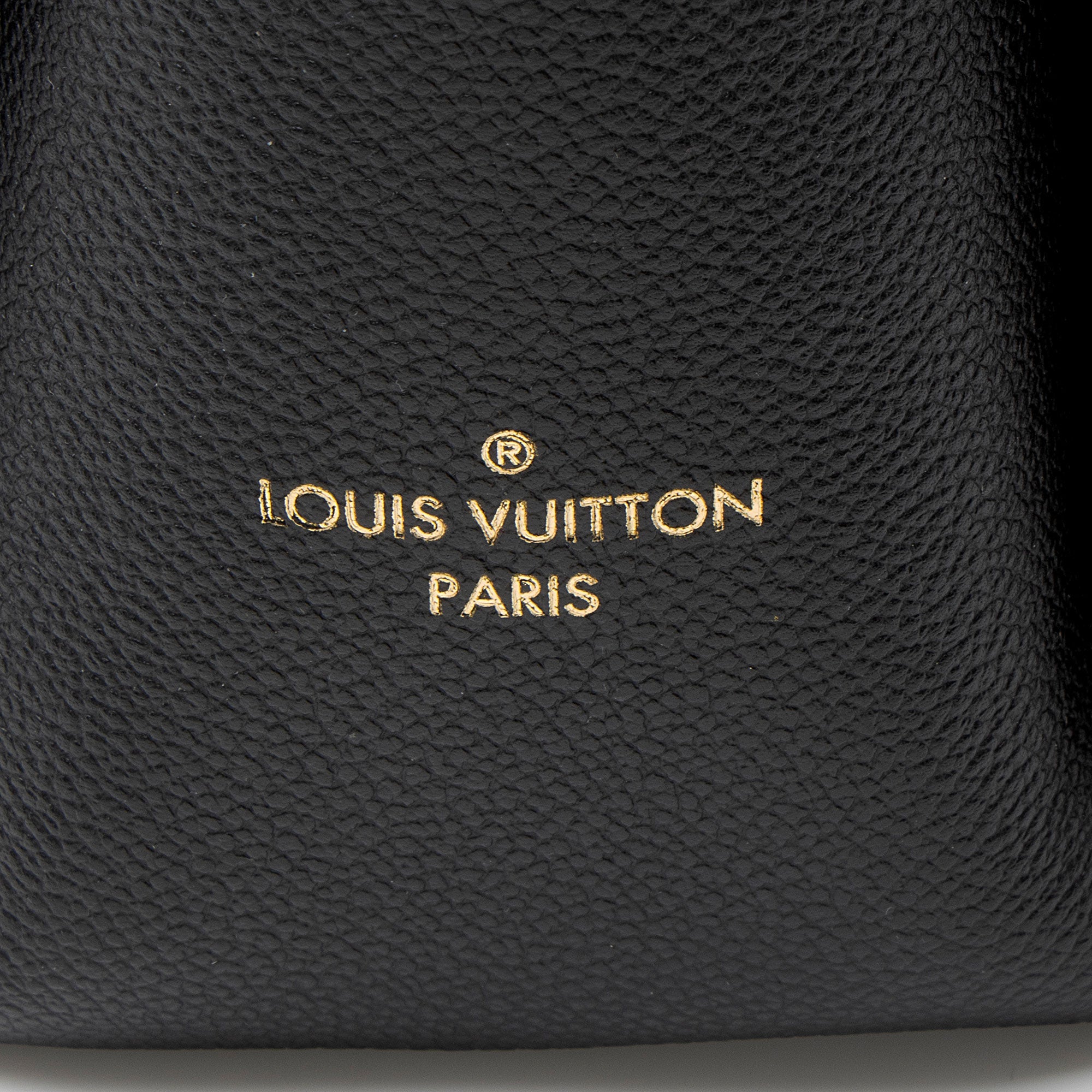 Louis Vuitton Monogram Canvas Surene MM Tote
