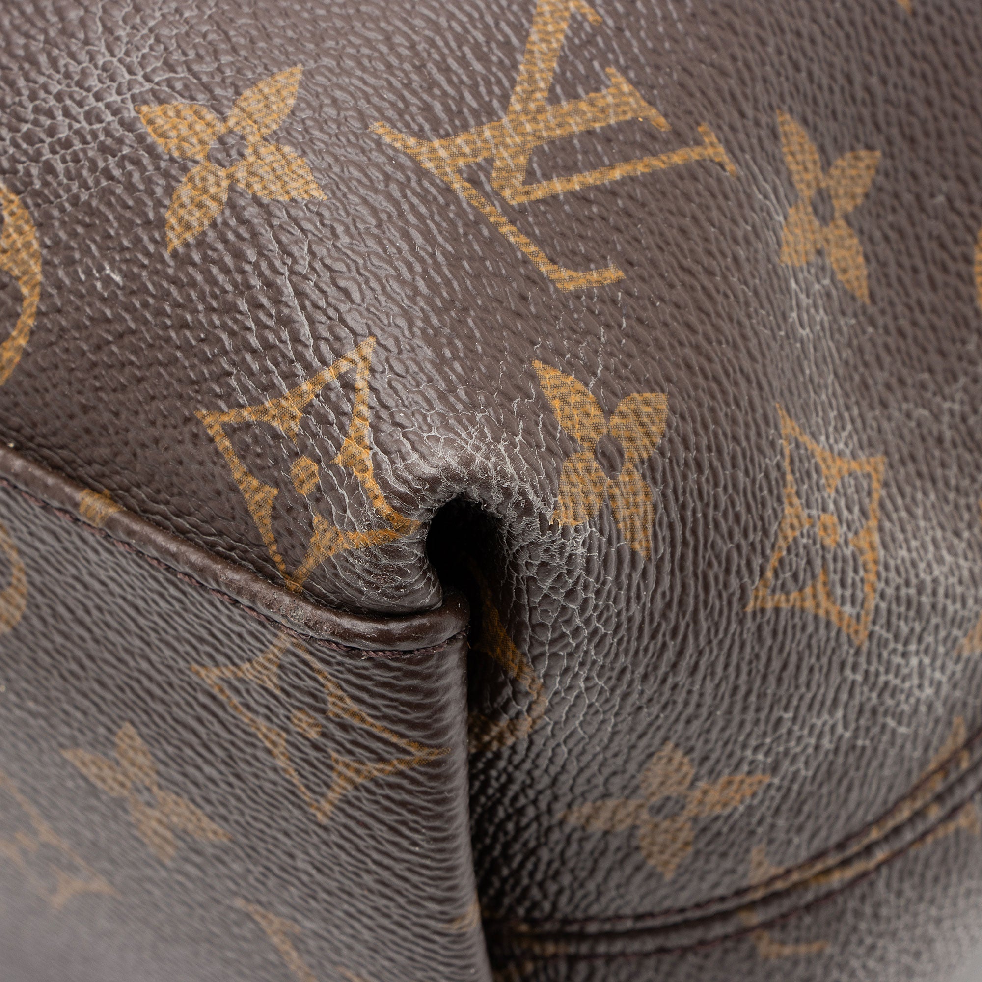 Louis Vuitton Monogram Canvas Tuileries Hobo
