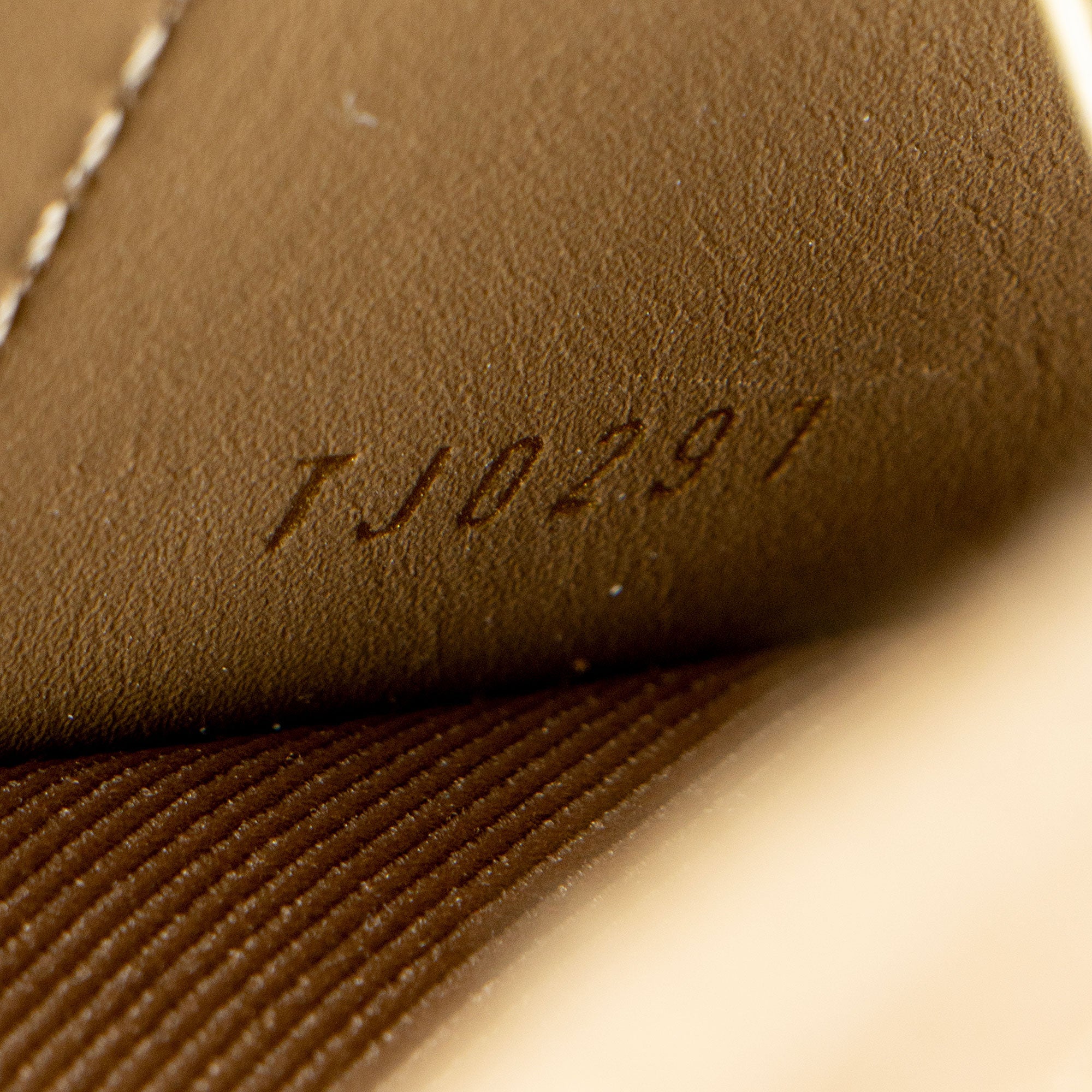 Louis Vuitton Monogram Canvas Utility Crossbody