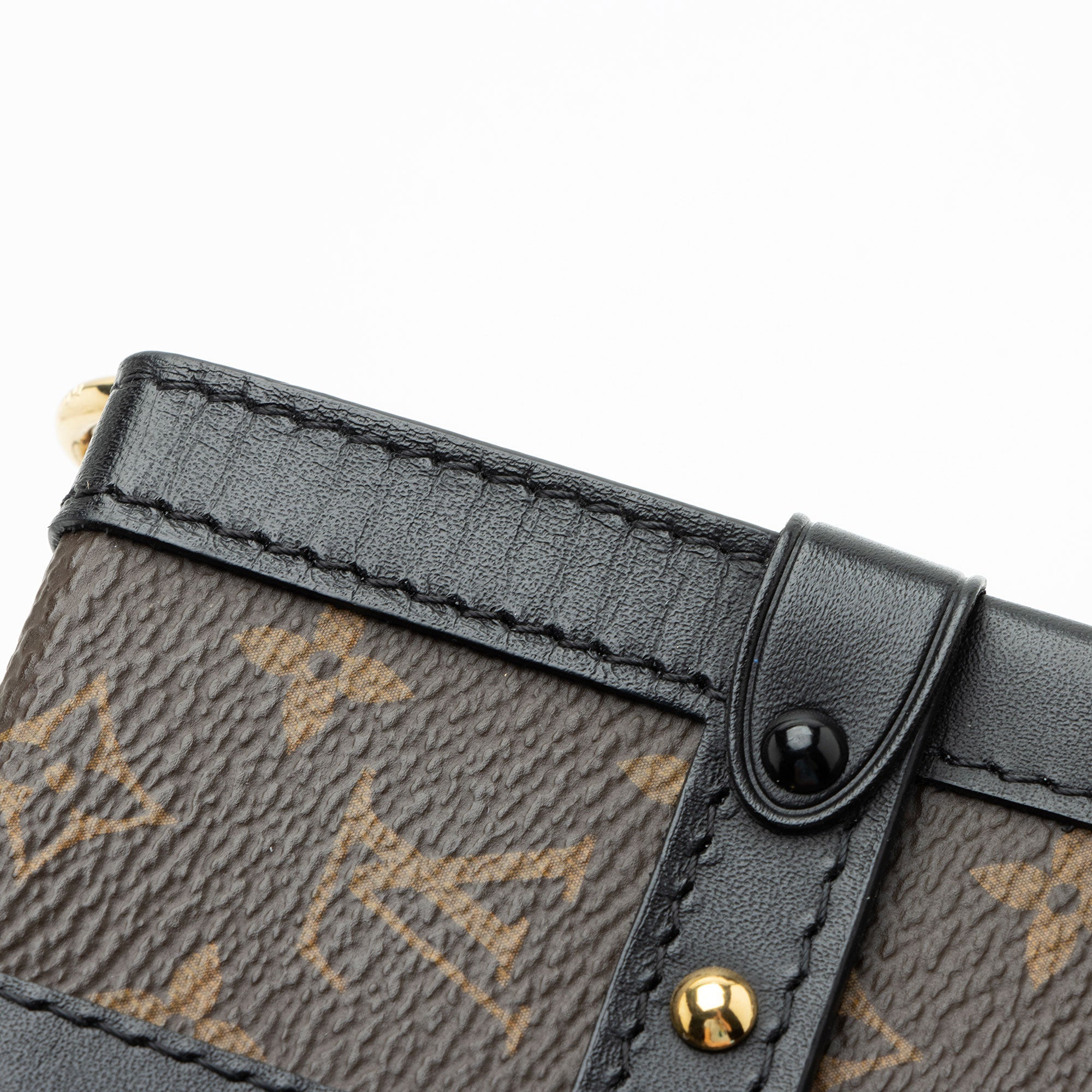 Louis Vuitton Monogram Canvas Vertical Trunk Pochette
