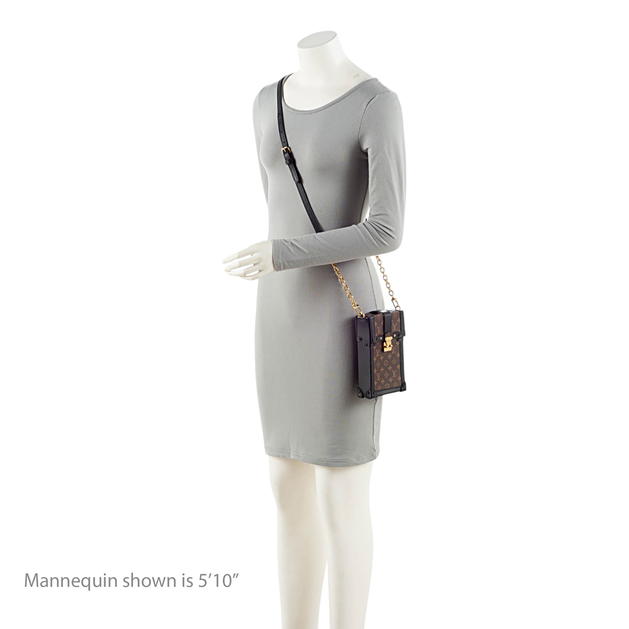 Louis Vuitton Monogram Canvas Vertical Trunk Pochette