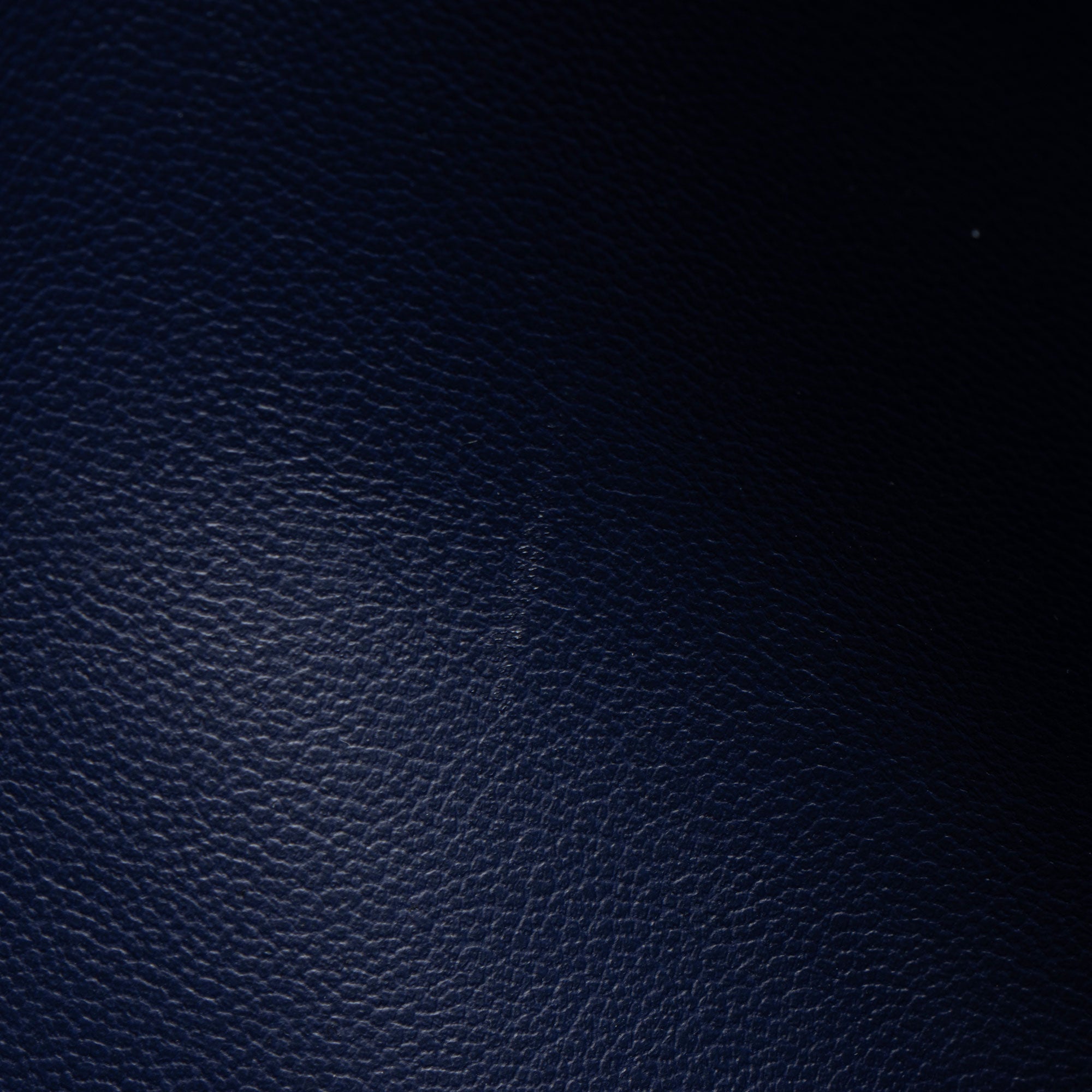 Louis Vuitton Monogram Embossed Lambskin Coussin PM Shoulder Bag