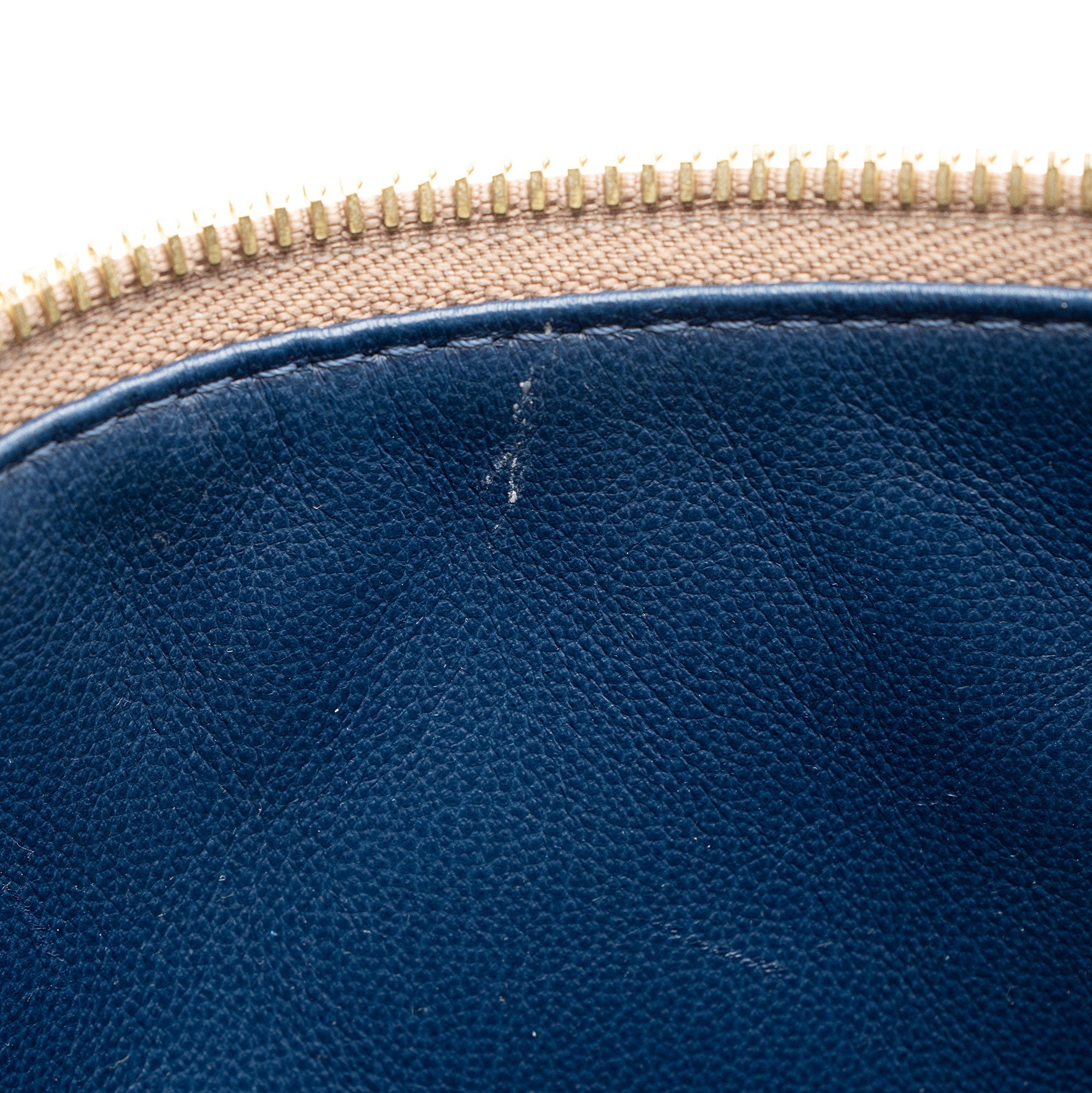 Louis Vuitton Monogram Embossed Lambskin Coussin PM Shoulder Bag