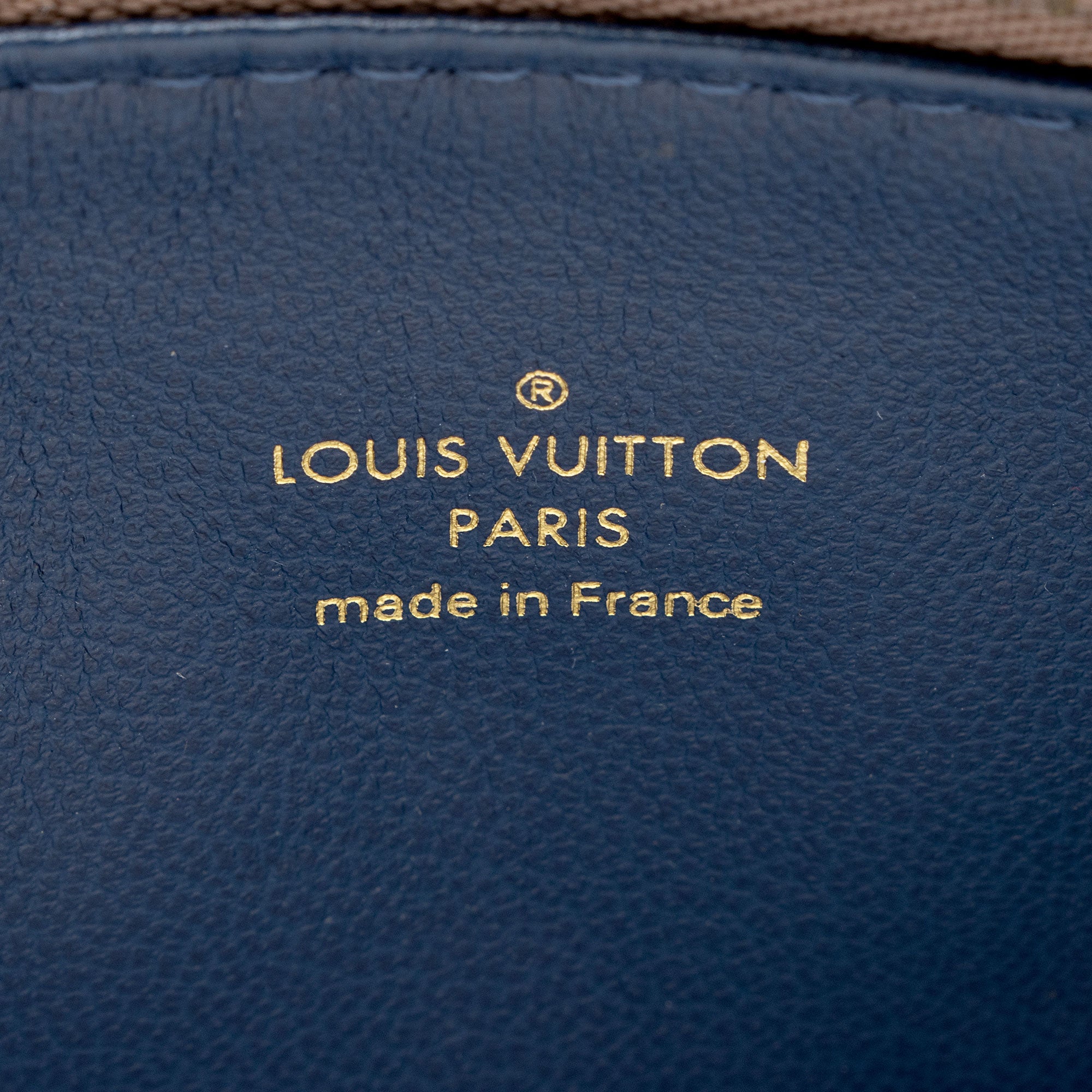 Louis Vuitton Monogram Embossed Lambskin Coussin PM Shoulder Bag