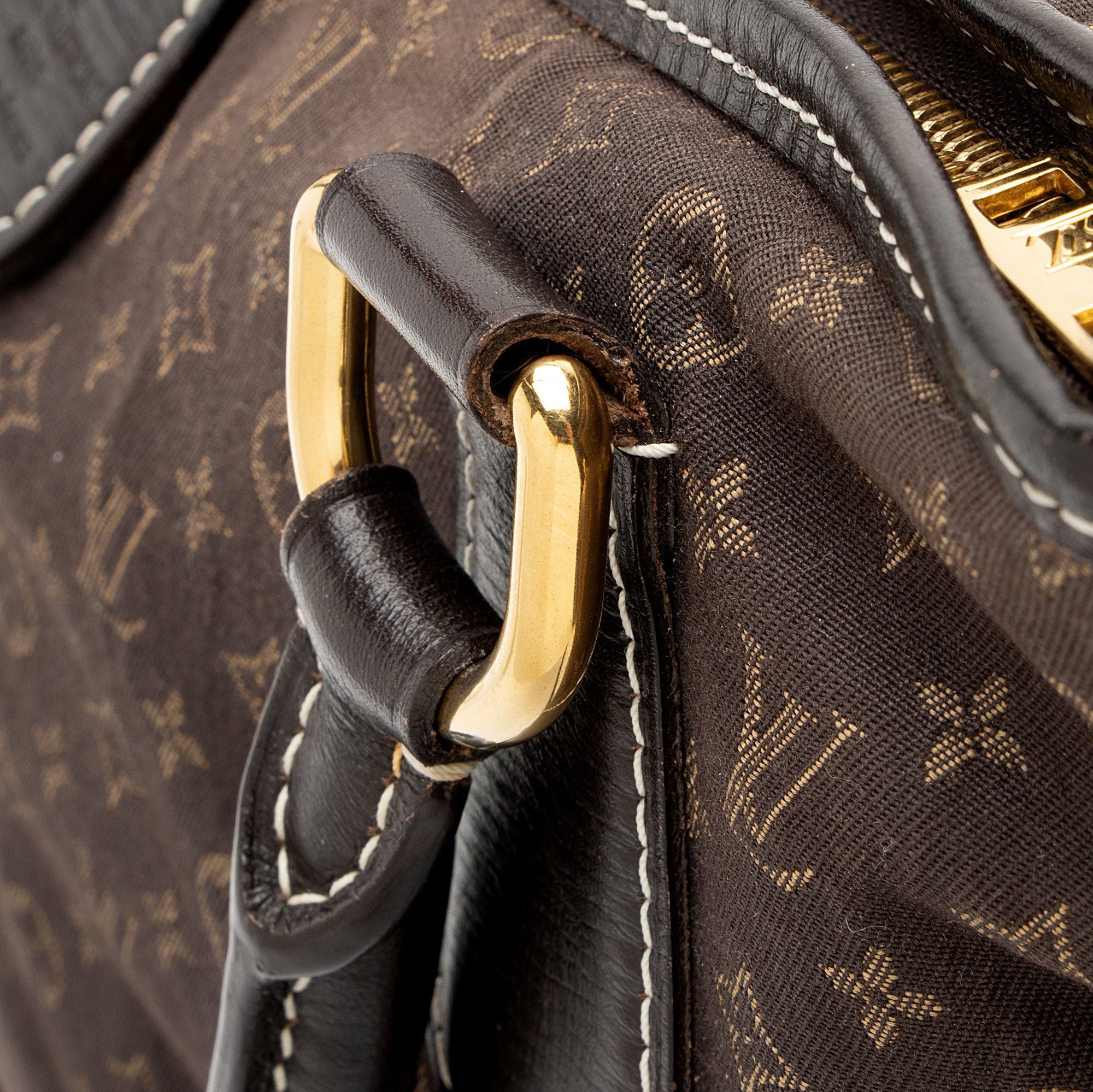 Louis Vuitton Monogram Idylle Elegie Tote