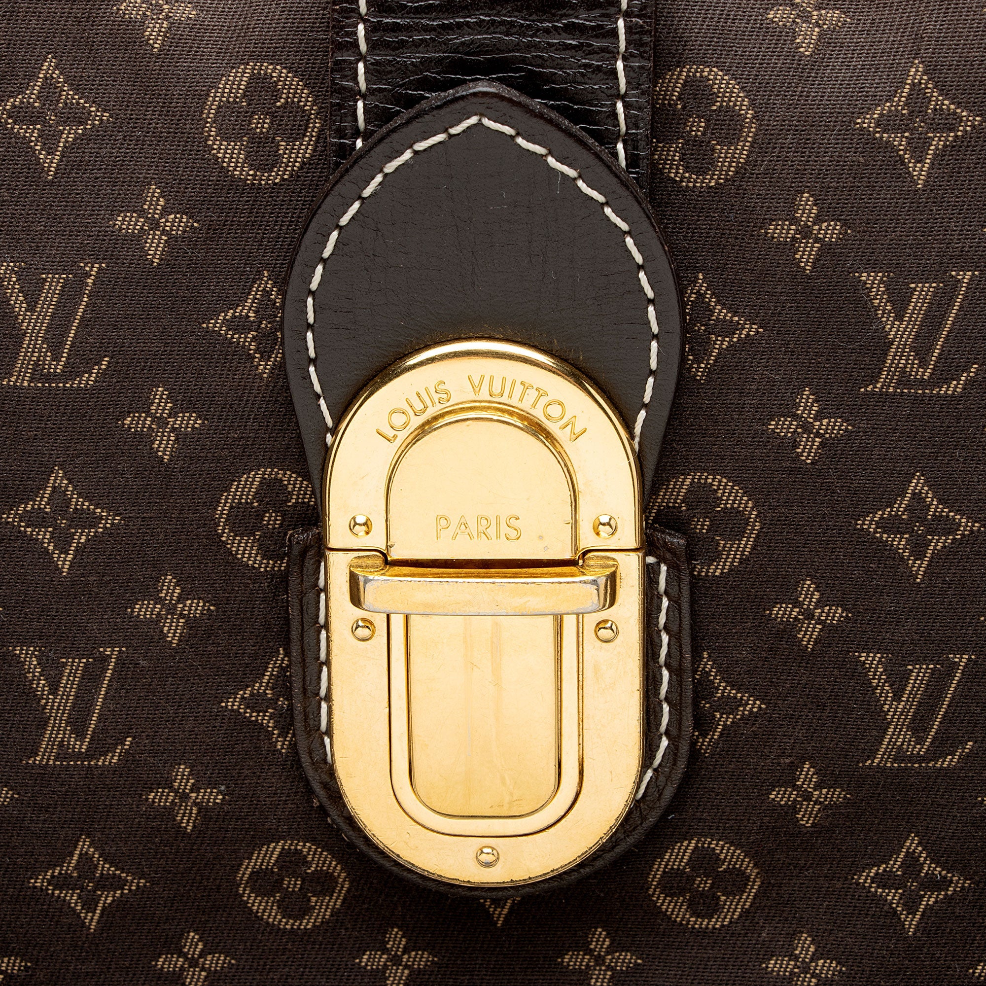 Louis Vuitton Monogram Idylle Elegie Tote