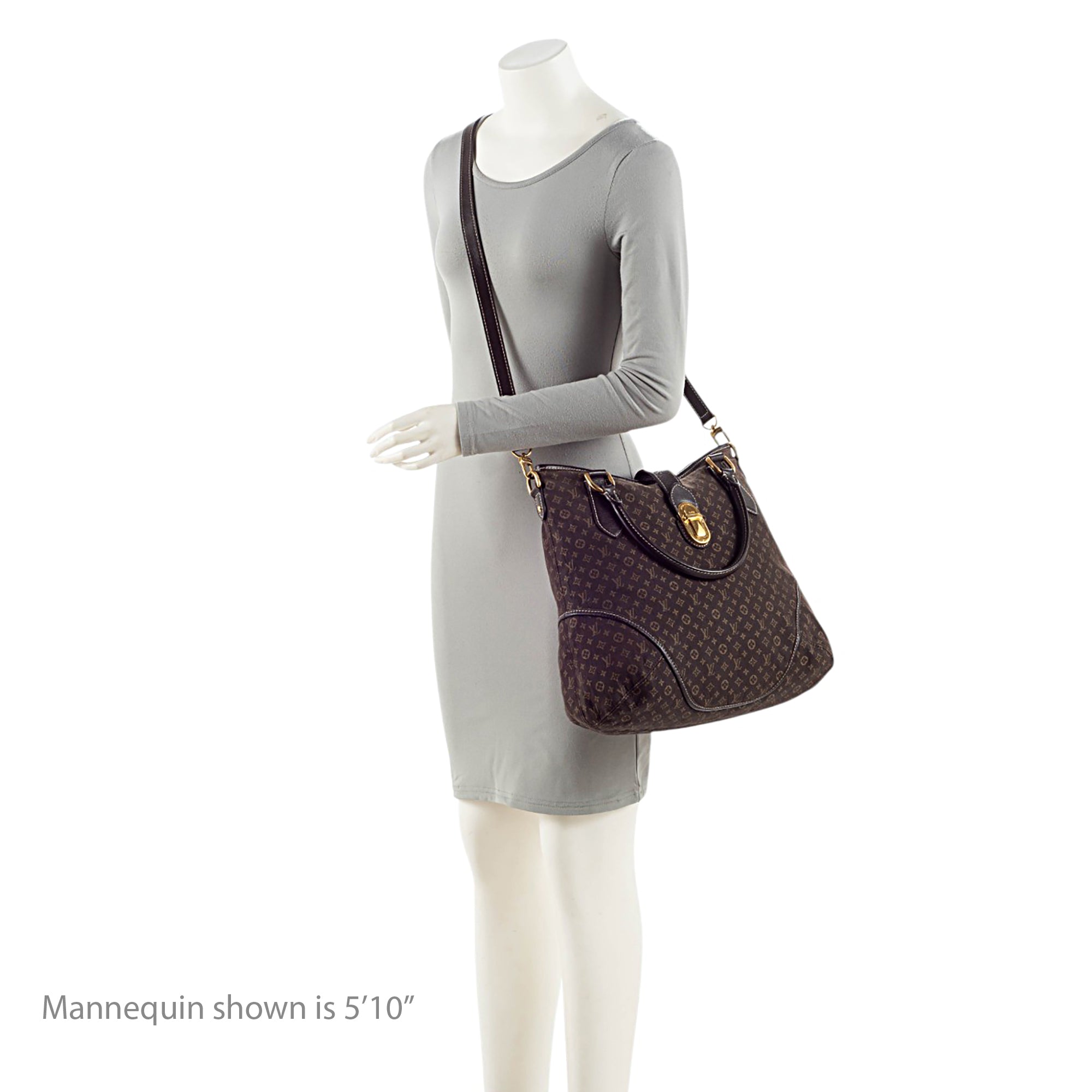 Louis Vuitton Monogram Idylle Elegie Tote
