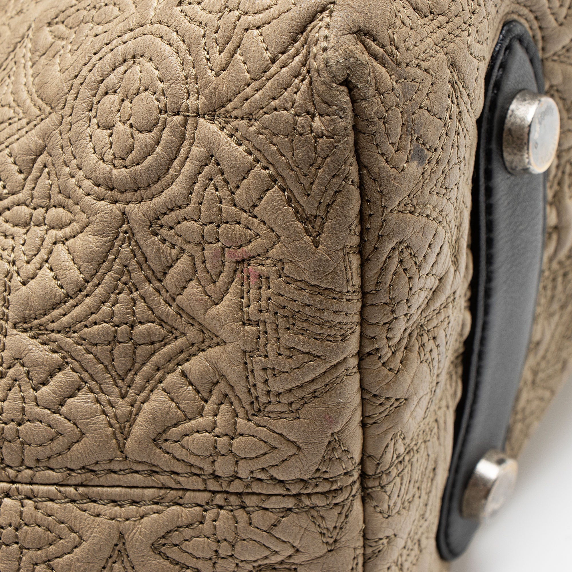 Louis Vuitton Monogram Lambskin Antheia GM Hobo