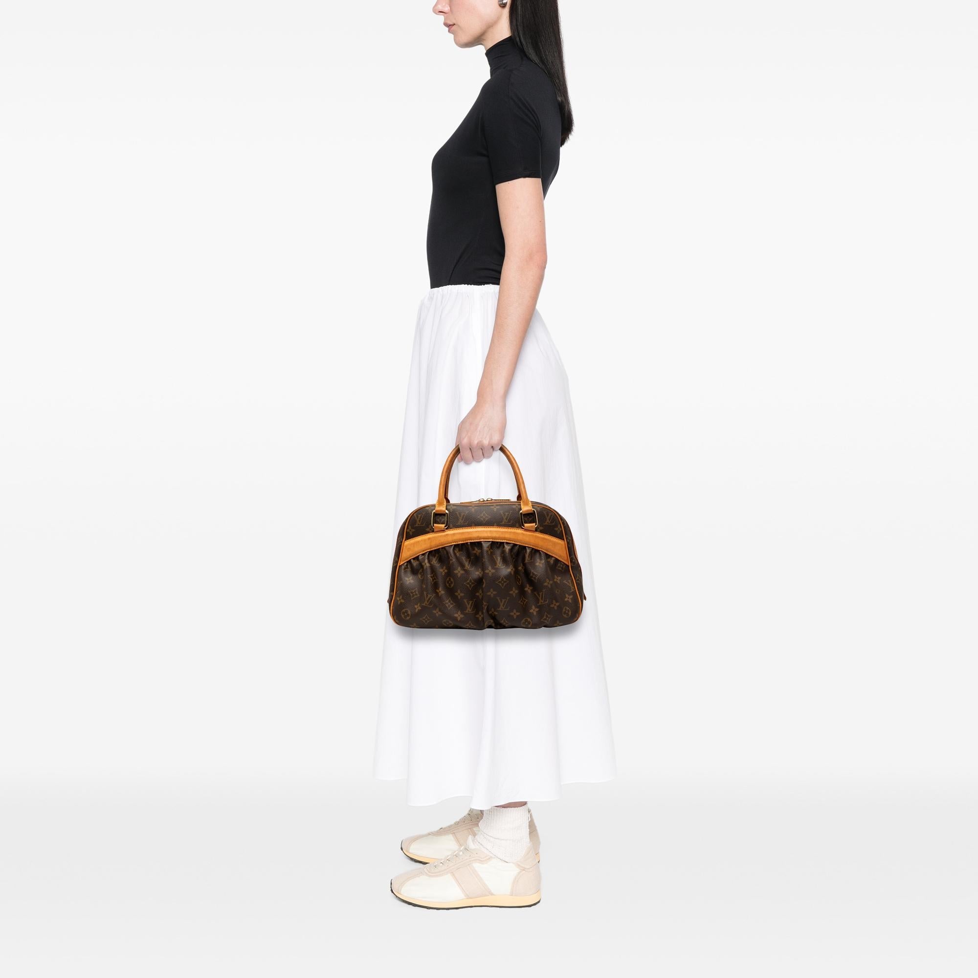 Louis Vuitton Monogram Mizi