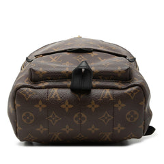 Louis Vuitton Monogram Palm Springs PM
