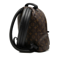 Louis Vuitton Monogram Palm Springs PM