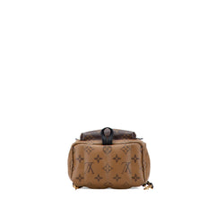 Louis Vuitton Monogram Reverse Mini Palm Springs