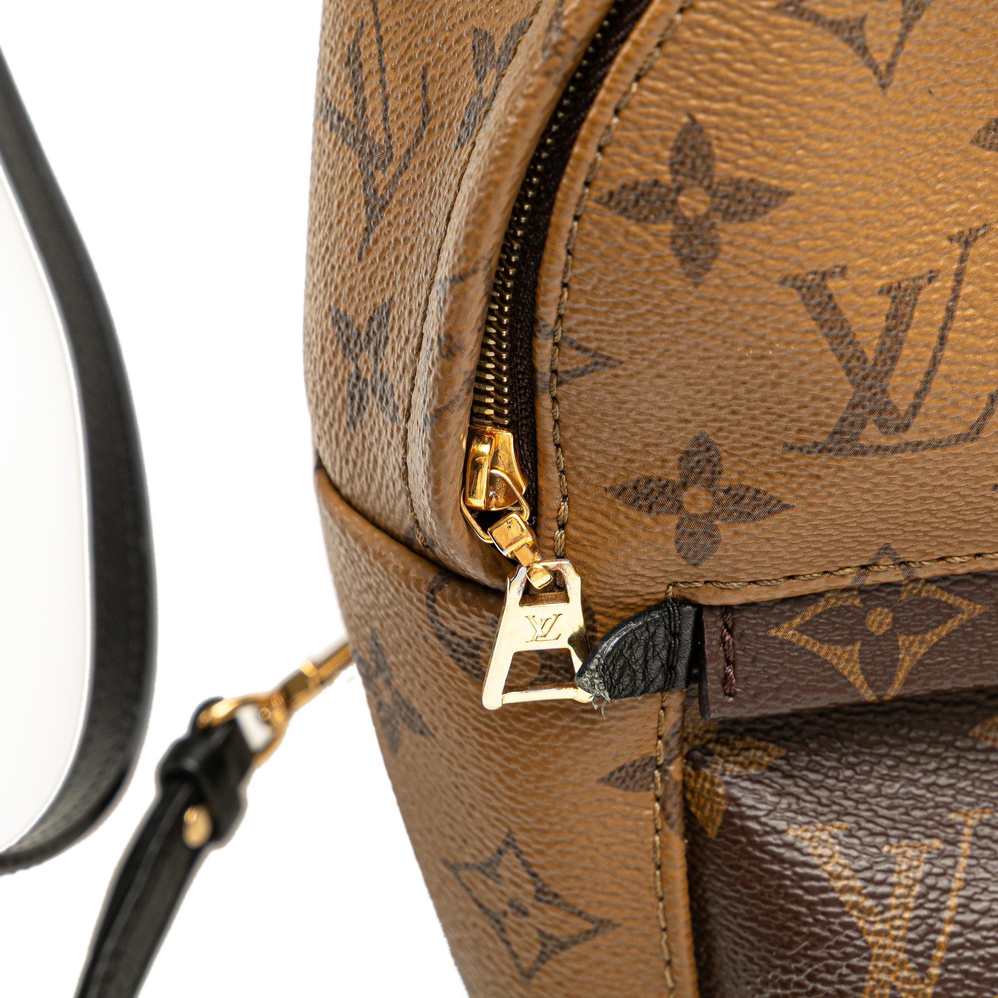 Louis Vuitton Monogram Reverse Mini Palm Springs