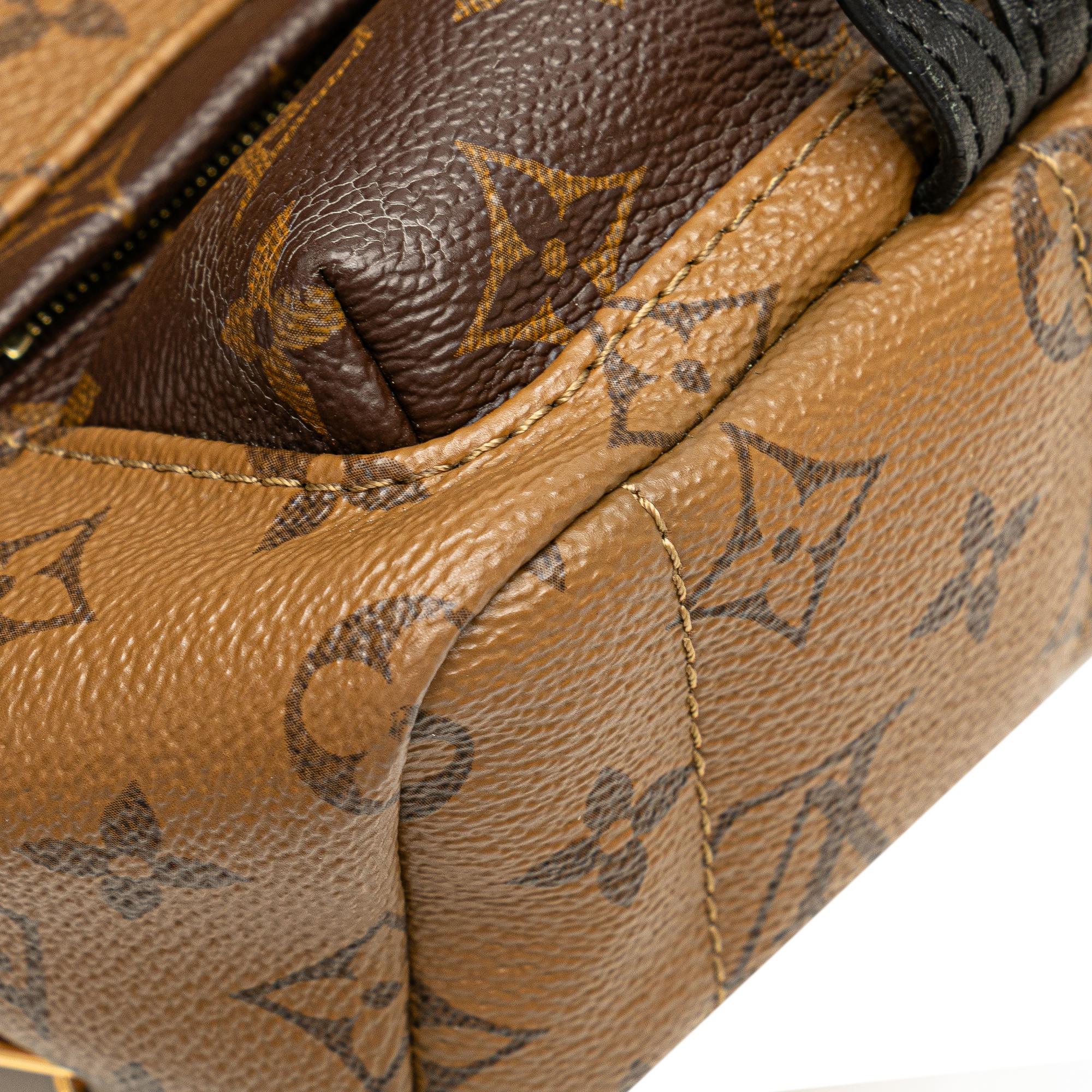Louis Vuitton Monogram Reverse Mini Palm Springs