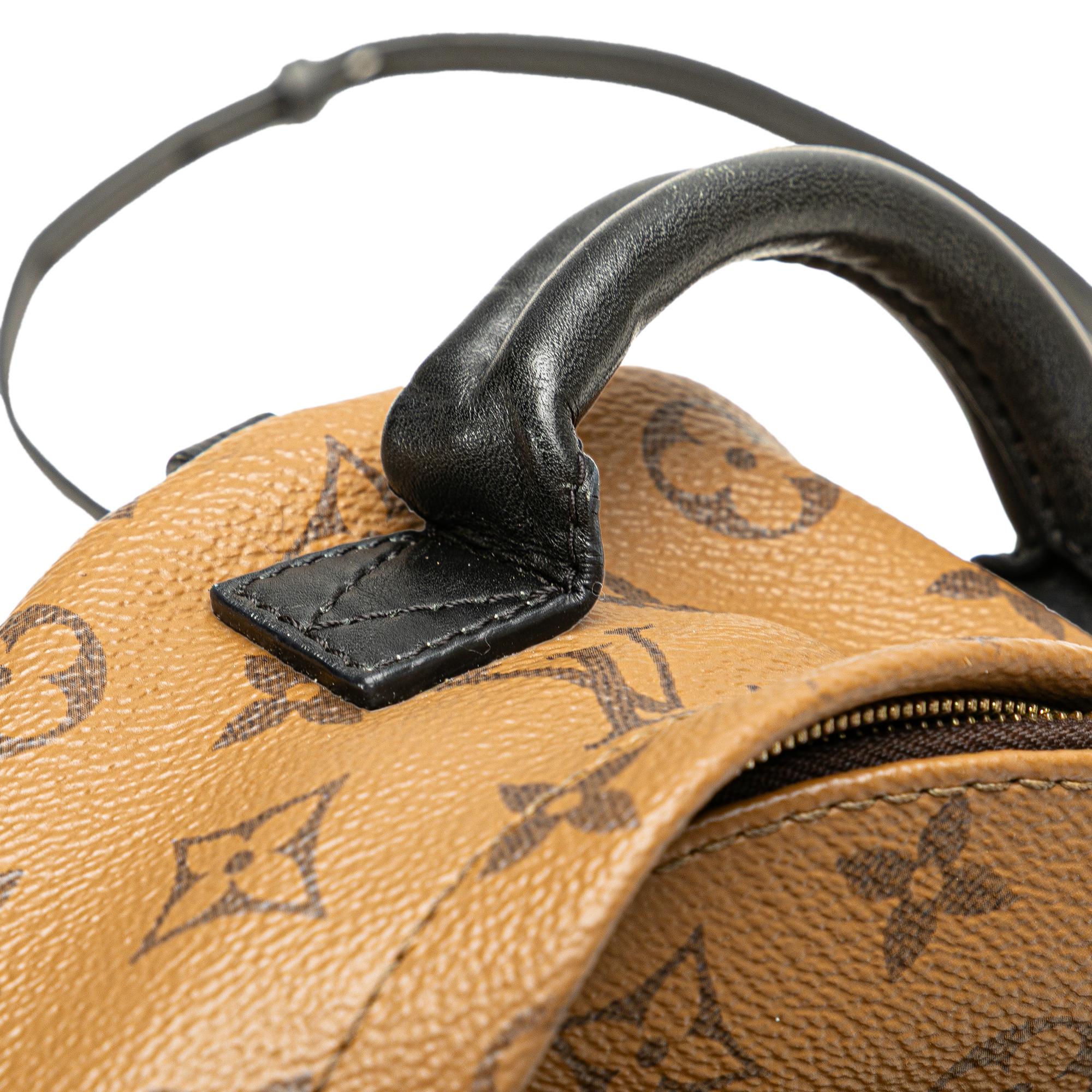 Louis Vuitton Monogram Reverse Mini Palm Springs