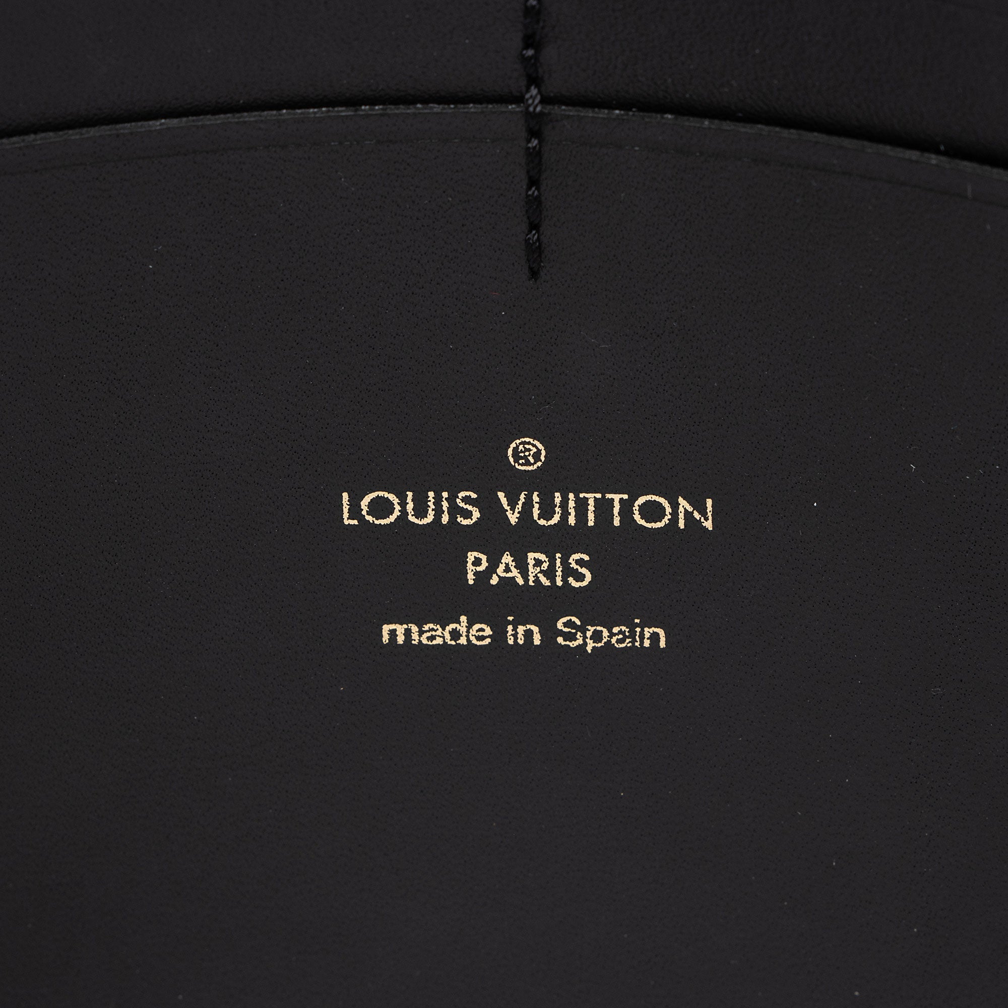 Louis Vuitton Reverse Monogram Dauphine Belt Bag
