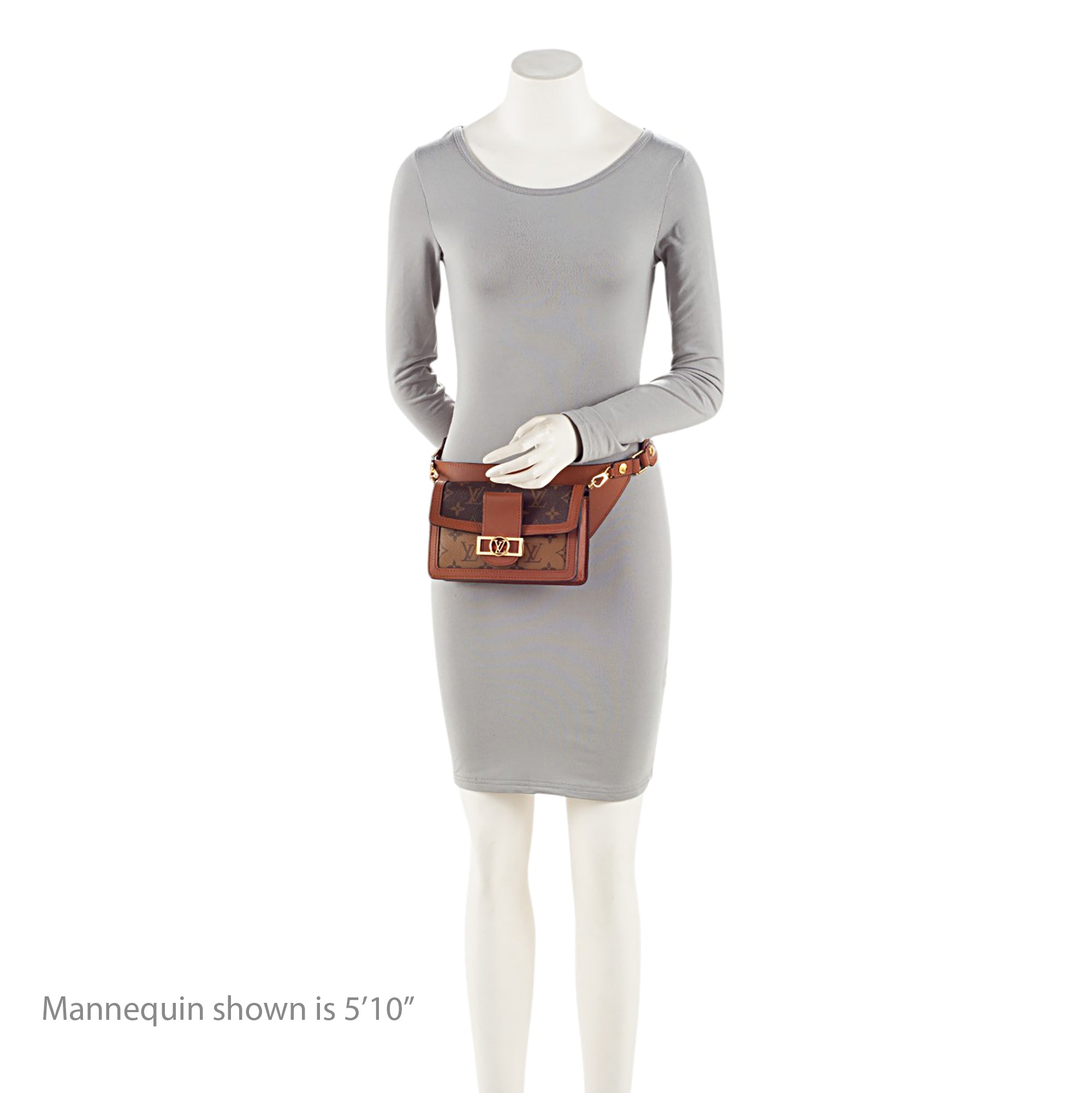 Louis Vuitton Reverse Monogram Dauphine Belt Bag