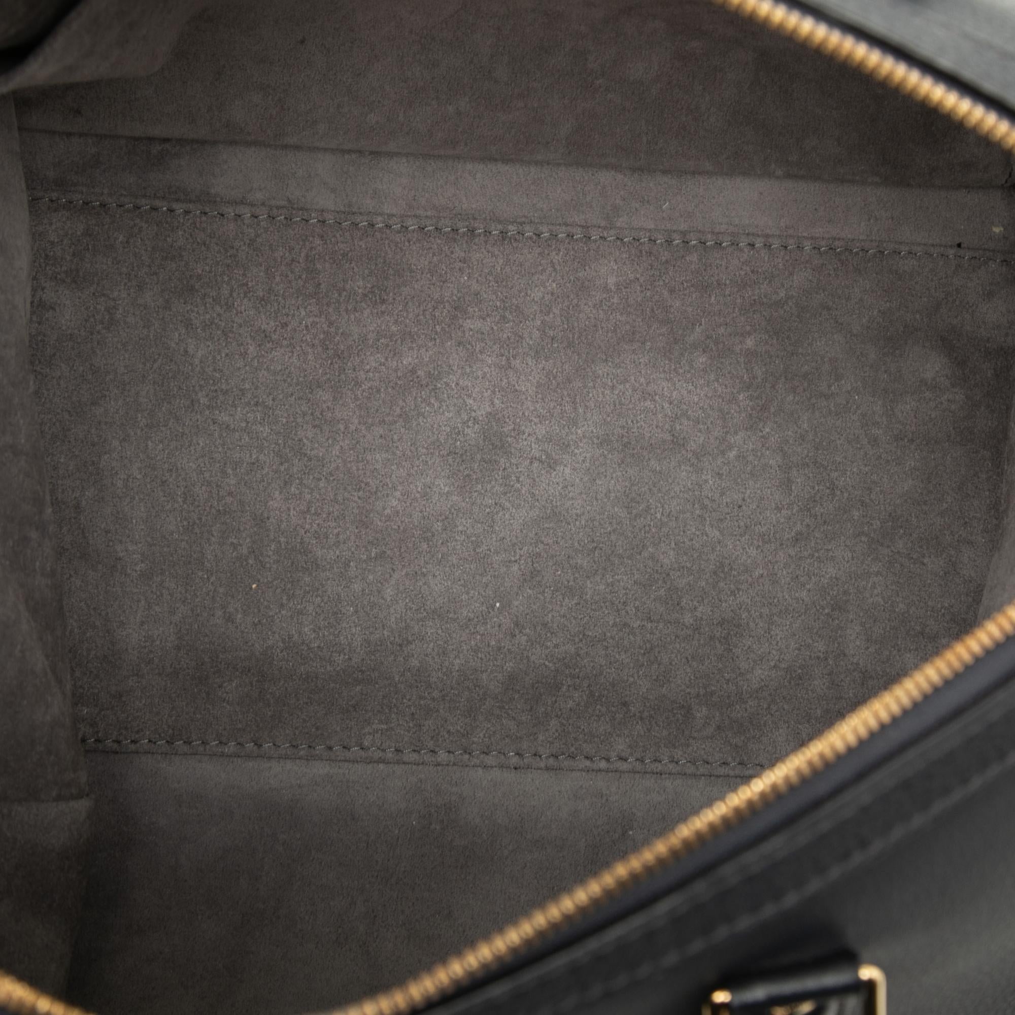 Louis Vuitton Sofia Coppola Calfskin SC PM