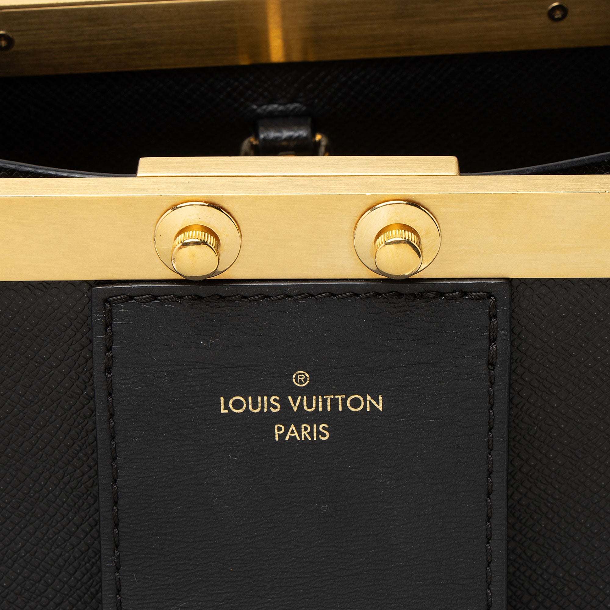 Louis Vuitton Taiga Leather City Frame Top Handle