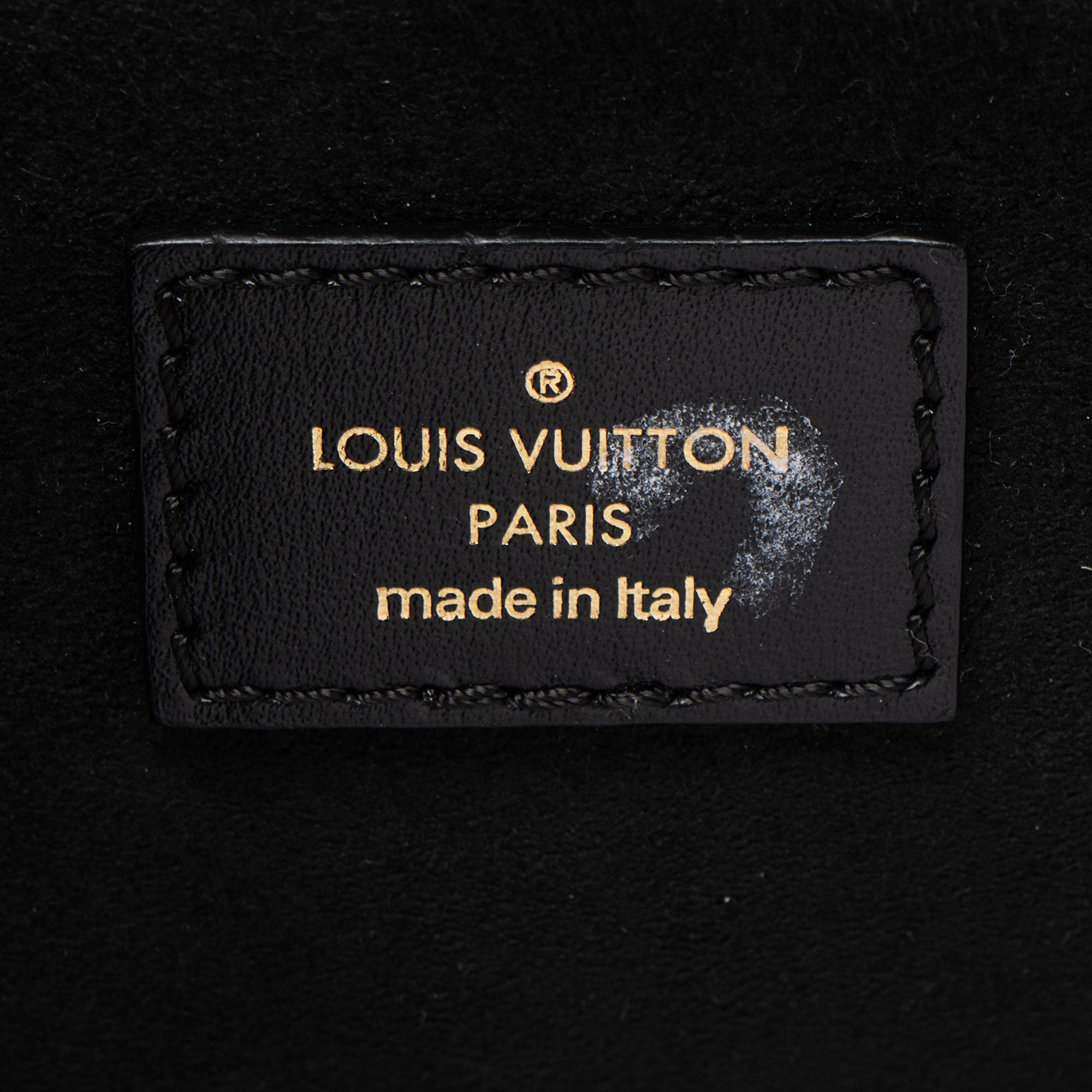 Louis Vuitton Taiga Leather City Frame Top Handle