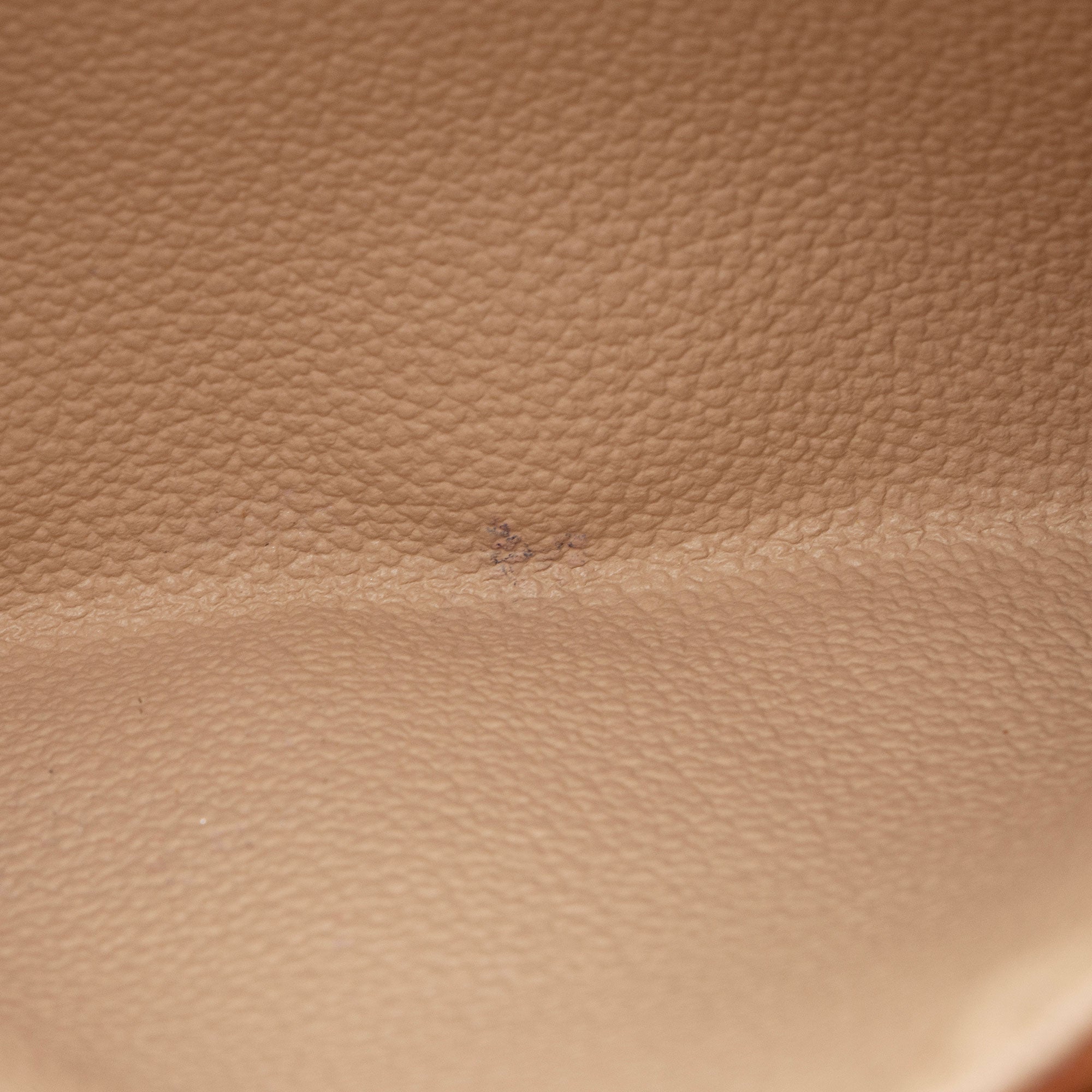 Louis Vuitton Vintage Monogram Canvas Petit Bucket Tote