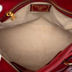Prada Cervo Shine Satchel