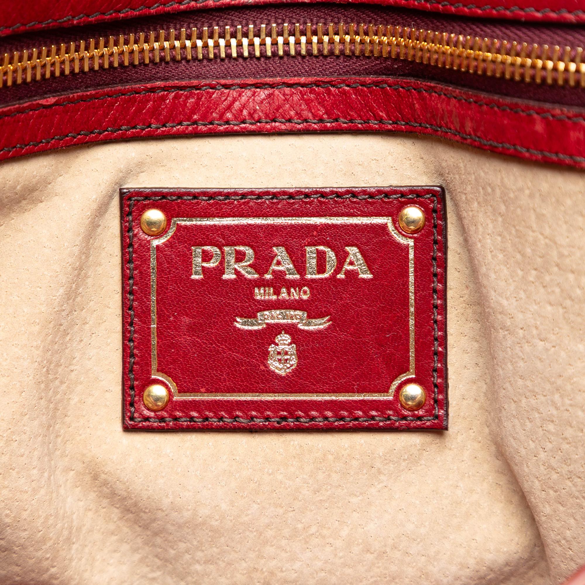 Prada Cervo Shine Satchel