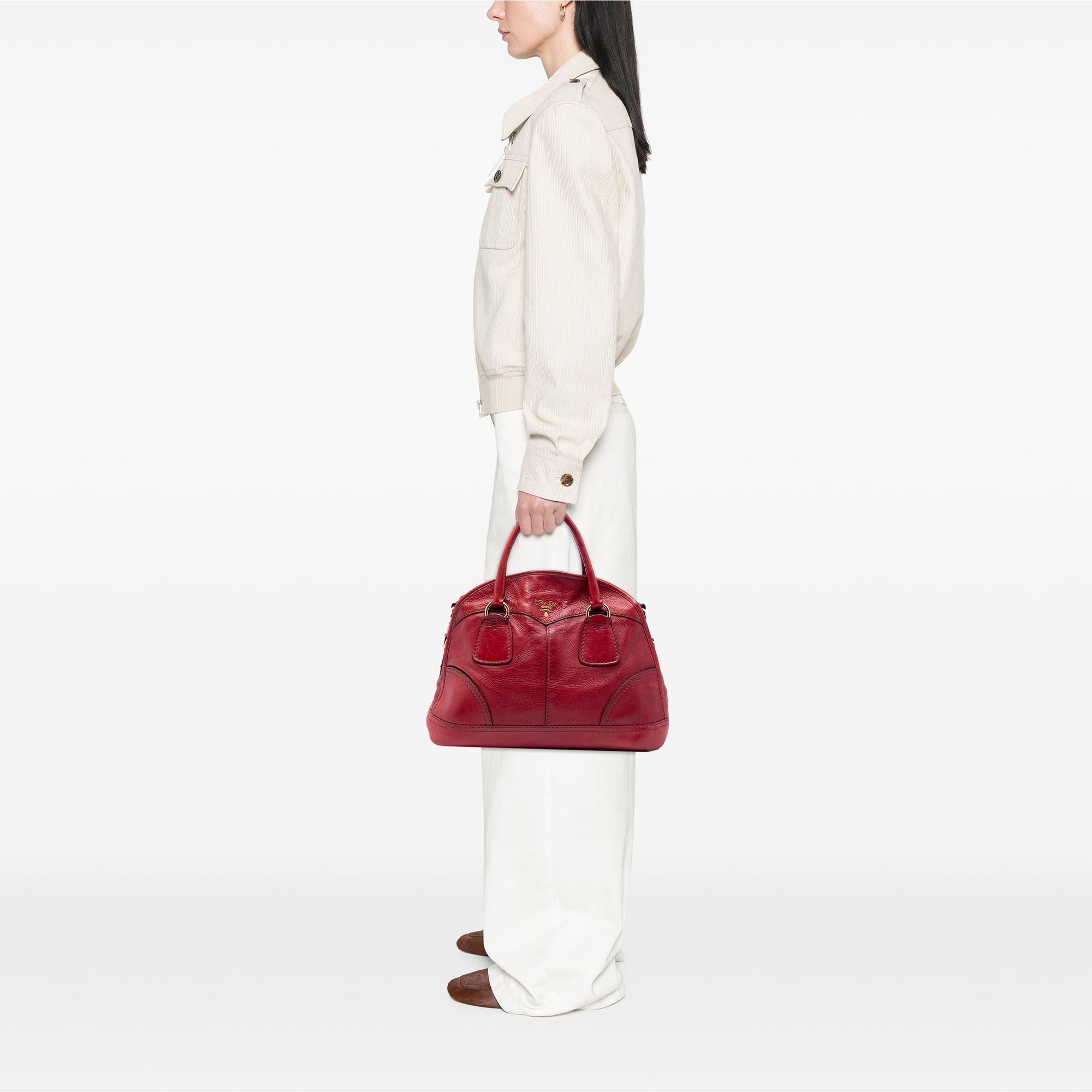 Prada Cervo Shine Satchel
