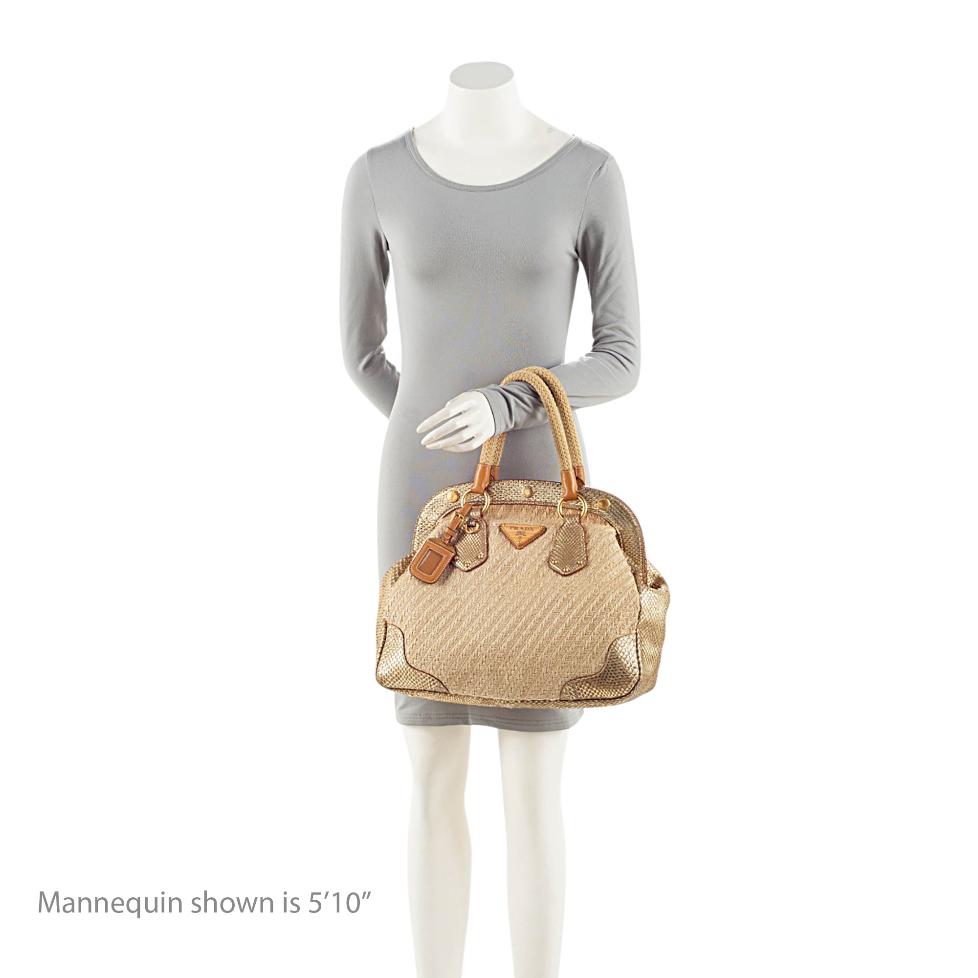 Prada Jute Metallic Python Framed Satchel